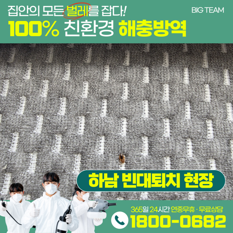 [ 빅팀시스템즈 ] 하남 빈대퇴치 현장! 빈대퇴치 업체만 수십번 변경하시며 1년을 보낸 고객....
