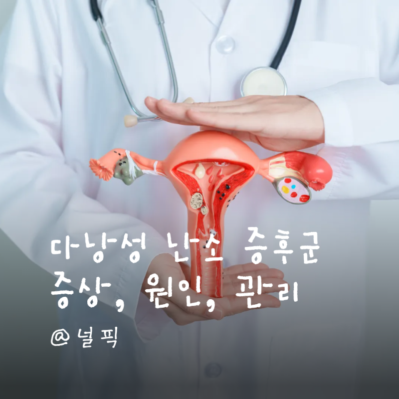 그냥 생리 불규칙인 줄 알았는데… 다낭성 난소 증후군 놓치기 쉬운 신호