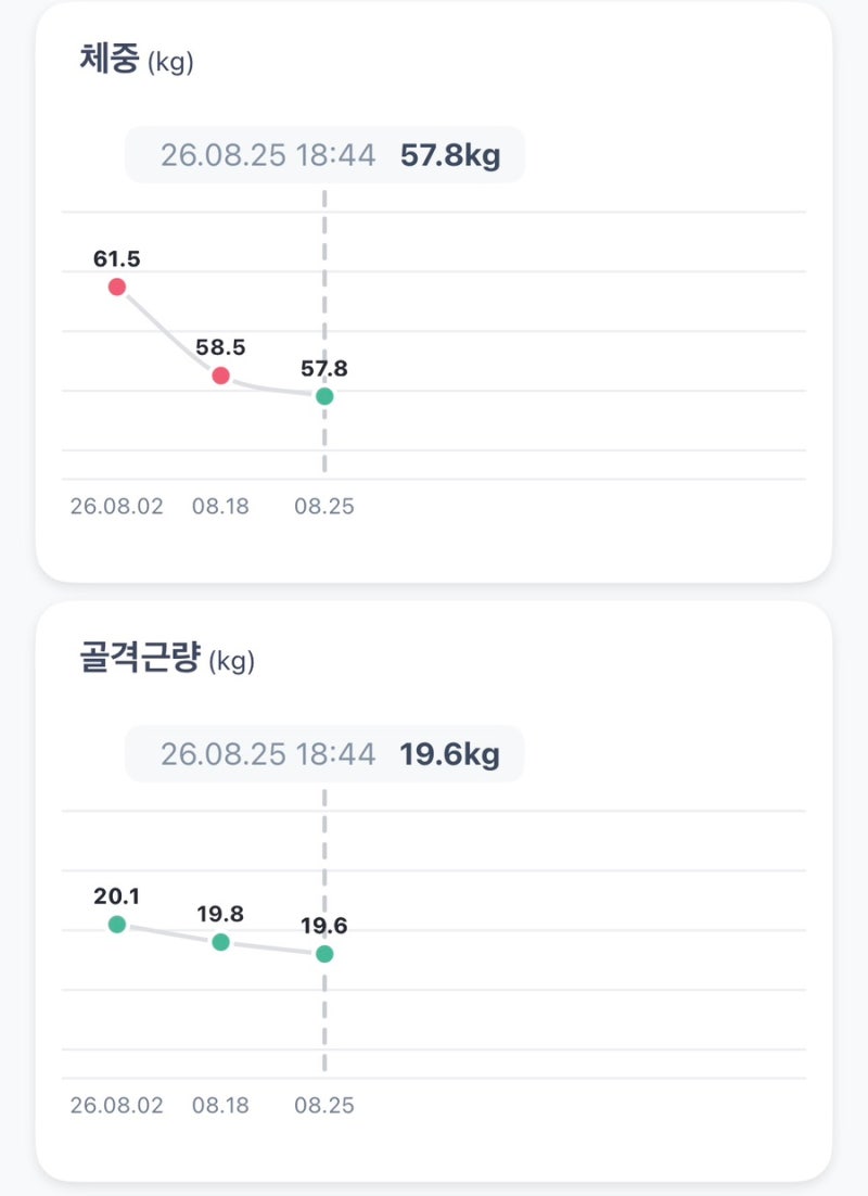 스위치온 다이어트 3주차 후기 식단공유