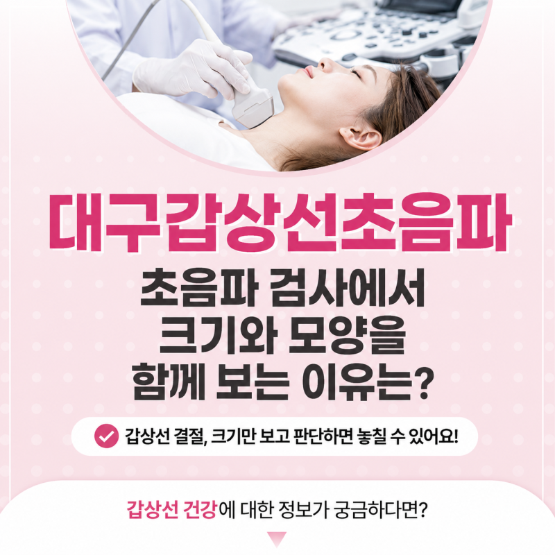 대구갑상선병원 초음파 검사에서 크기와 모양을 함께 보는 이유는?