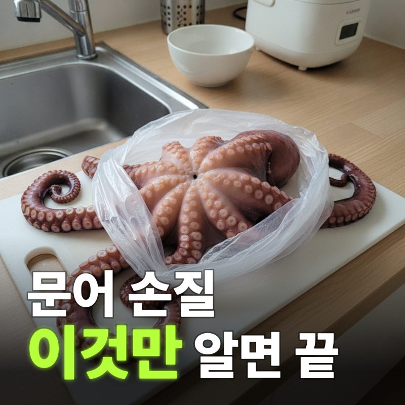 문어 손질법 내장 제거부터 보관까지 완벽 가이드