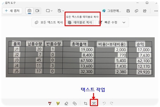 이미지에서 텍스트(표) 추출(윈도우 캡쳐도구)