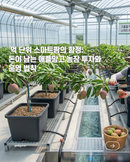 억 단위 스마트팜의 함정: 돈이 남는 애플망고 농장 투자와 운영 법칙
