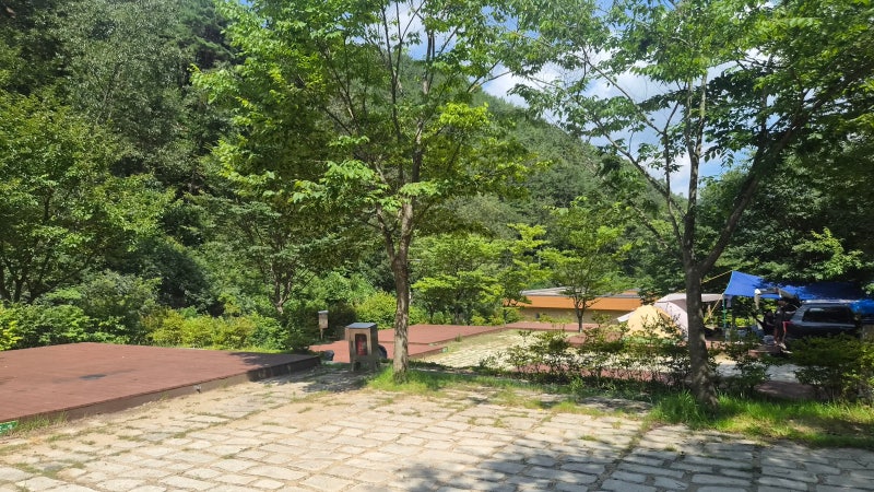 향로산자연휴양림 캠핑 답사후기, 그늘 좋은 명당 사이트와 편의시설