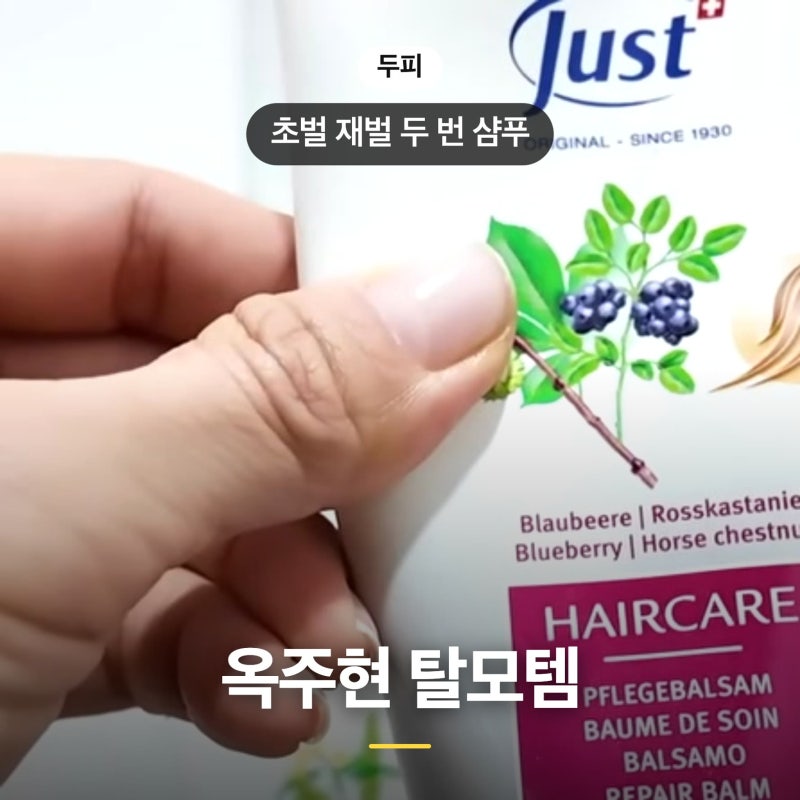 옥주현 탈모템 가격 구매정보 + 두피 관리 루틴