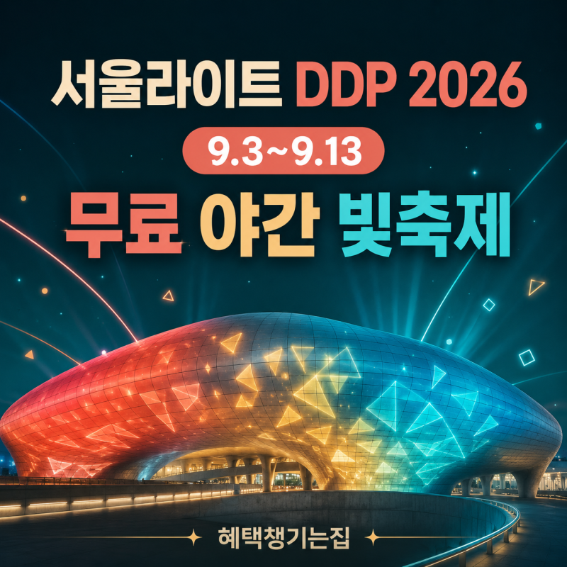 서울라이트 DDP 2026 가을｜무료 관람·회차별 시간·라이브 공연 일정