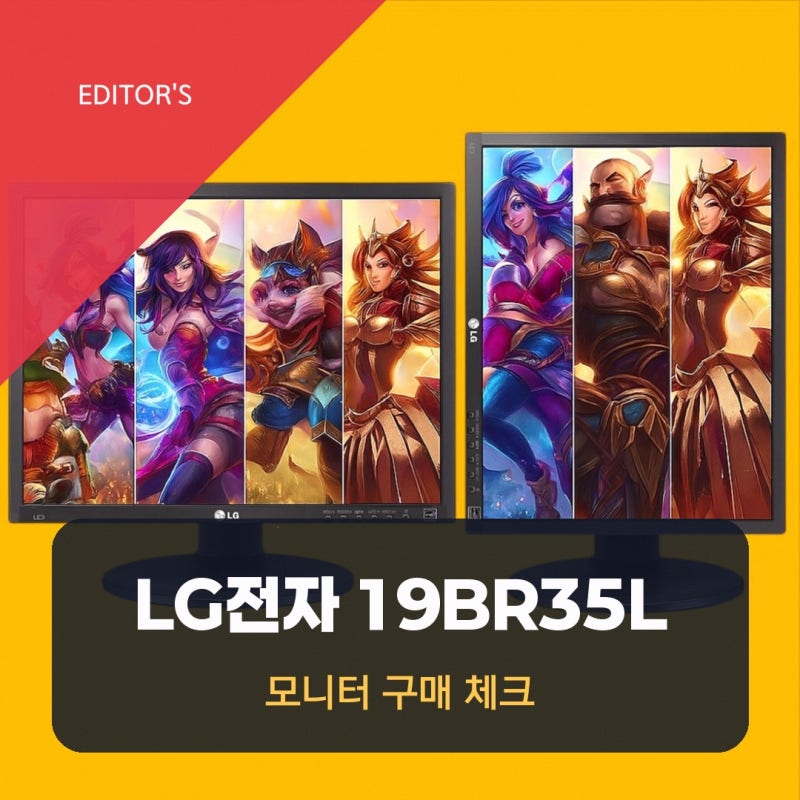 LG전자 IPS 피벗 세로 모니터 19BR35L 후기