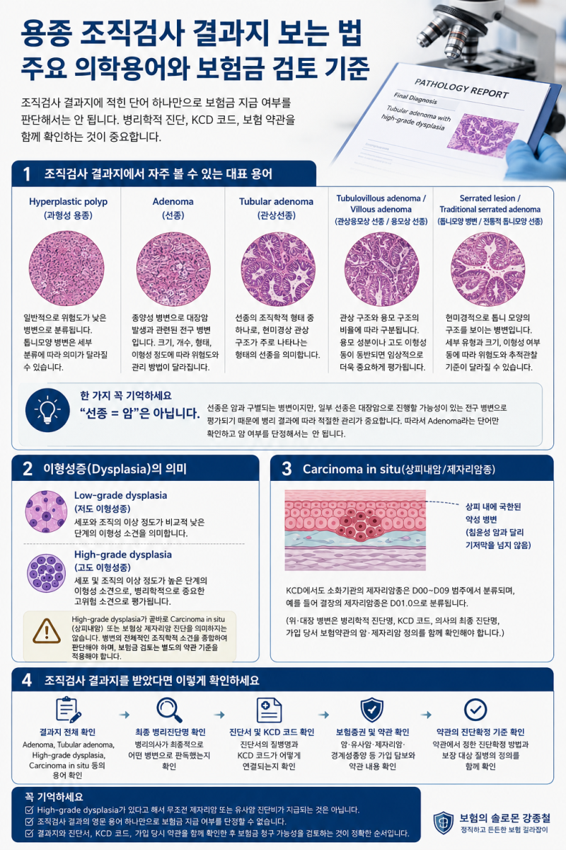 용종 조직검사 결과지 보는 법｜선종·고도이형성증·상피내암 의학용어와 보험금 검토 기준