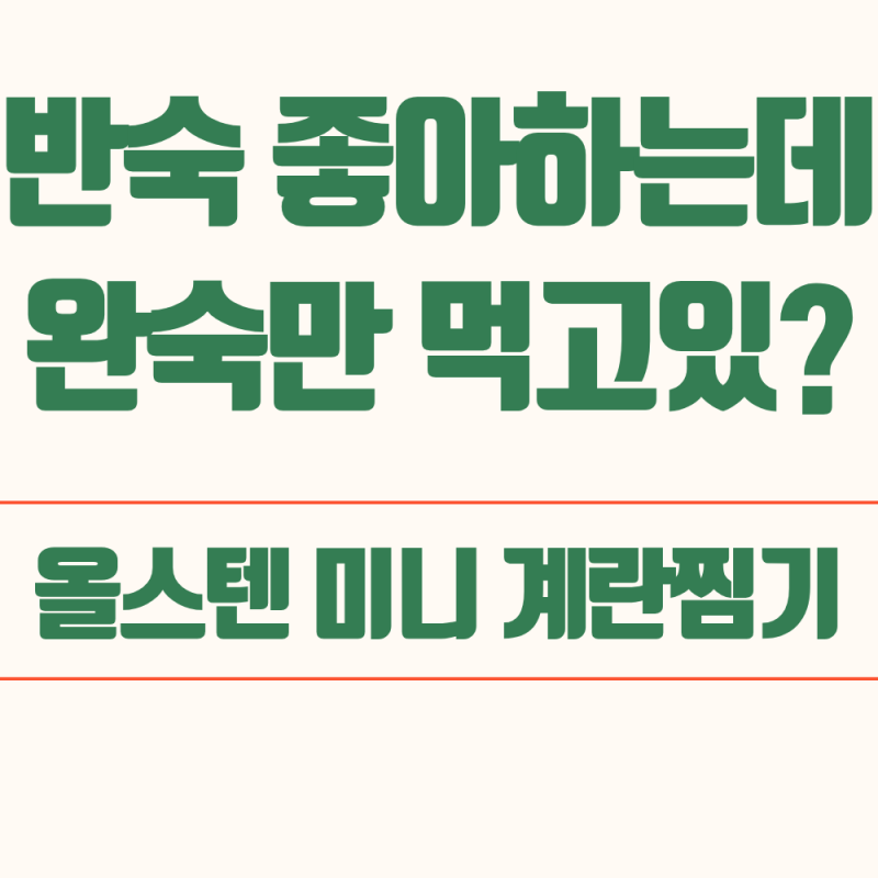 반숙 계란 시간 몰라 완숙만 먹는다?  올스텐 미니 계란찜기 달걀 삶기