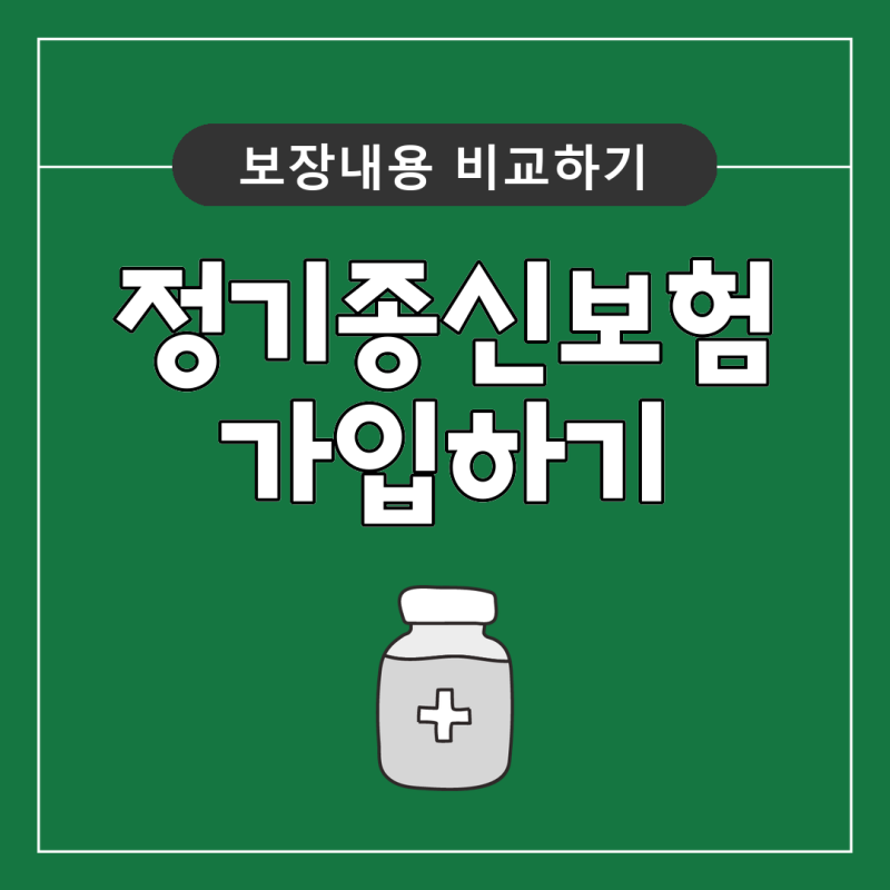 경영인정기보험 가입 전 플랜비보험으로 어떤 기준을 확인하면 좋을까요