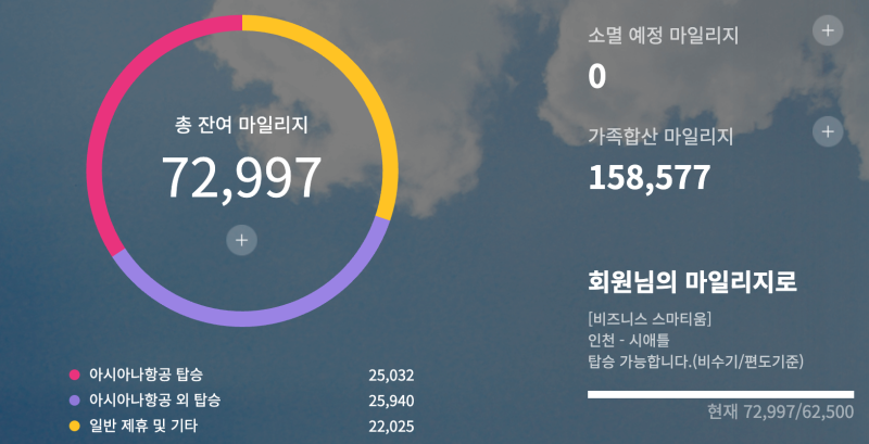 아시아나 마일리지로 떠나는 미국 여행: 대한항공 합병 후 최적의 보너스 항공권 소진 전략?