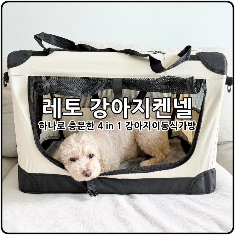 튼튼한 강아지이동식가방 레토 강아지켄넬 추천