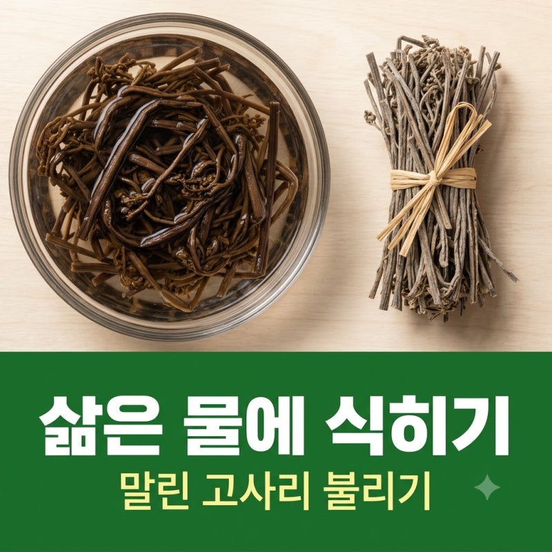 말린 고사리 불리는 법, 물에 담글까 삶아서 우릴까