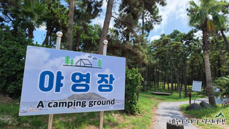 제주도 캠핑장 제주 협재해수욕장 야영장 8월 현황
