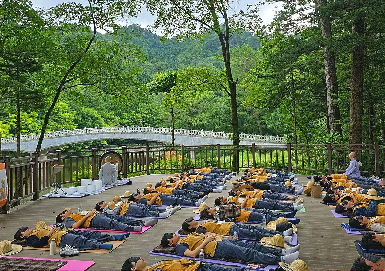 Gangwon Pyeongchang Odaesan Woljeongsa Temple Stay: Booking, Price, What to Bring - A Night Embraced by Fir Tree Forest...