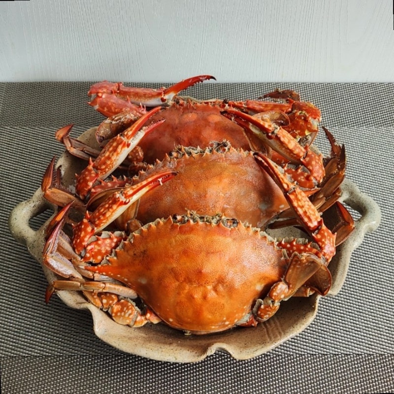 냉동 꽃게 찌는 법 찌는 시간 비린내 없이 찌는 방법