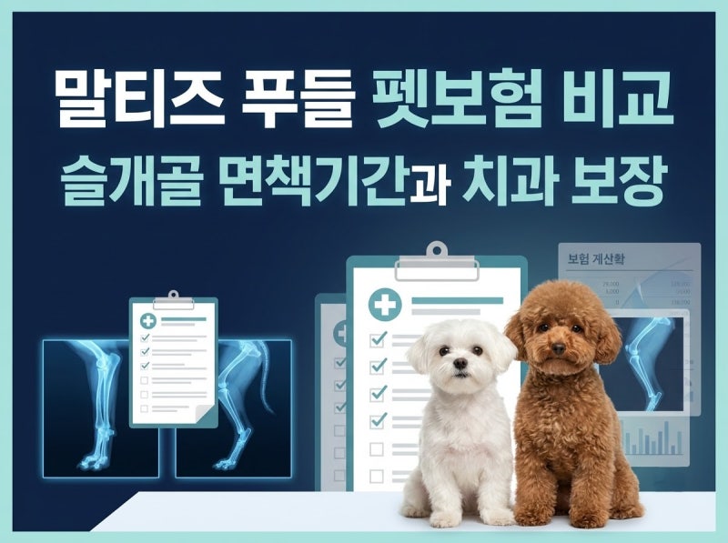 2026년 말티즈 푸들 펫보험 슬개골 치과 보장과 면책기간 비교