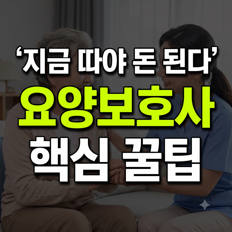 요양보호사 자격증 취득 순서 완벽 가이드 (시험 일정·과목·실습시간 총정리)