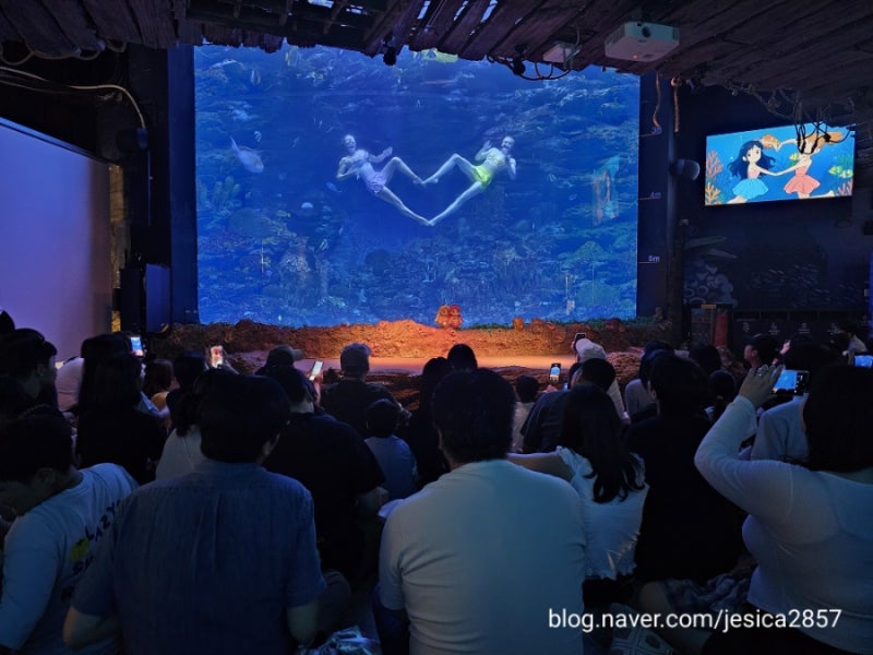 부산 아쿠아리움 아이와 가볼만한곳! 주차정보·공연시간·관람팁