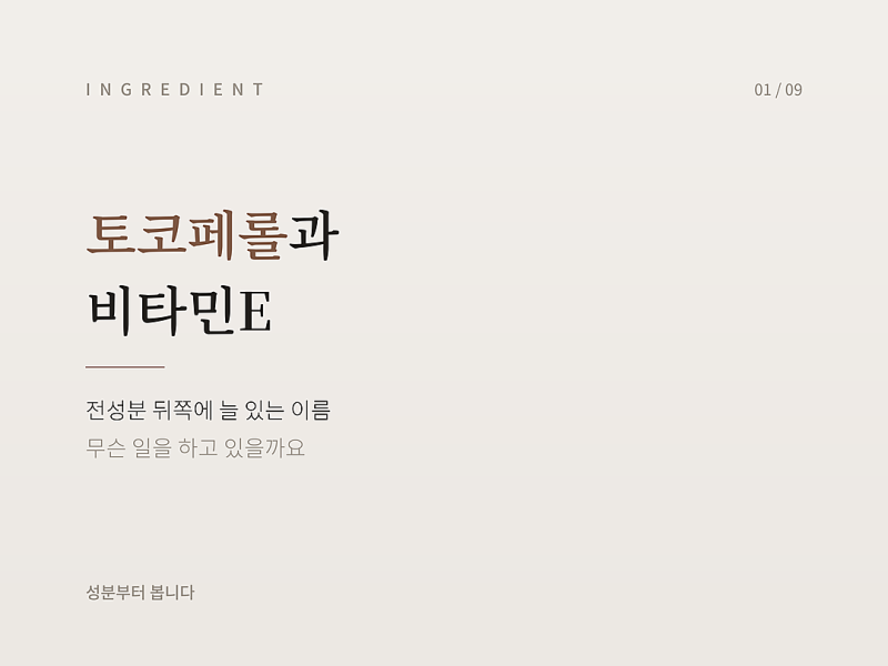 전성분표의 토코페롤, 비타민E와 같은 성분인가요