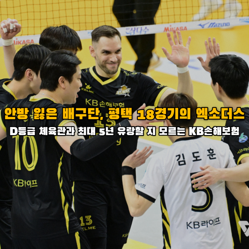 의정부체육관 D등급부터 경민대 기념관 탈락, KB손해보험 평택행은 예견된 엑소더스