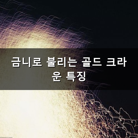 크라운 가격 종류별 차이와 예상 비용 정리