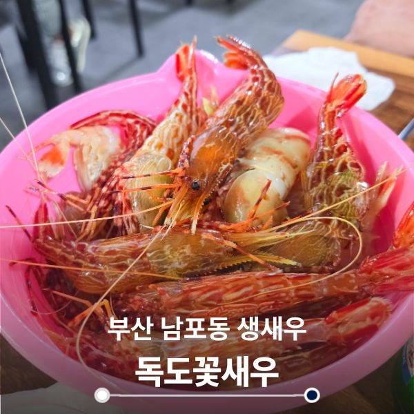 부산여행 남포동 독도꽃새우 내돈내산 생새우회 맛집