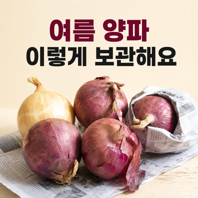 양파 보관방법 깐양파 여름 양파