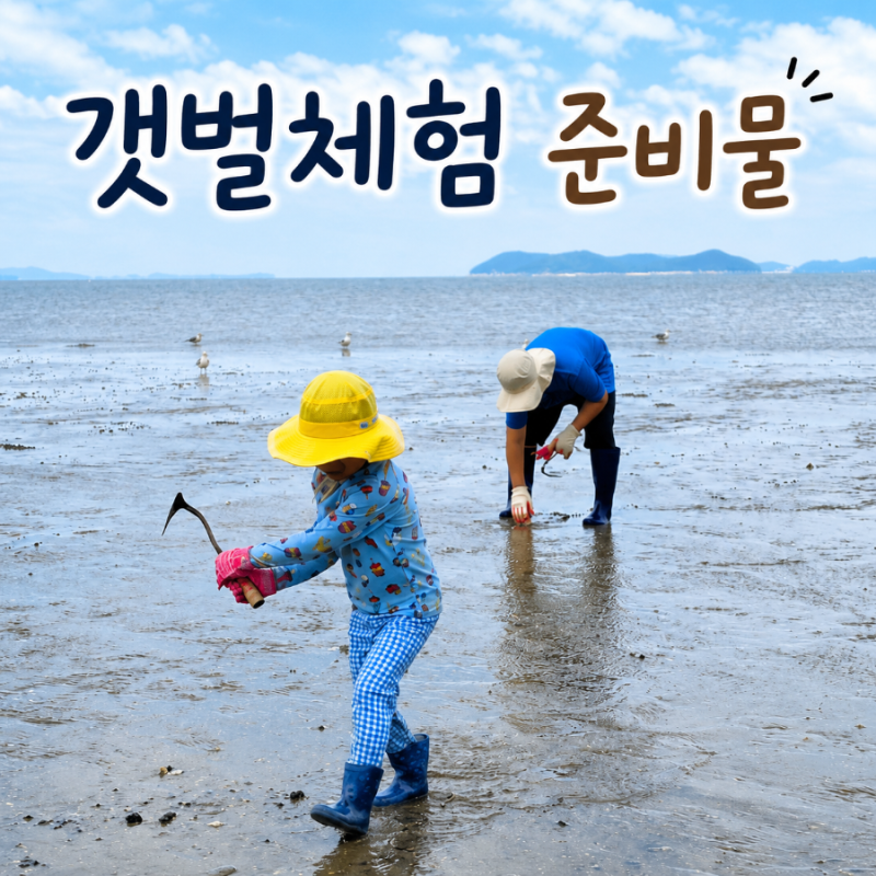 갯벌체험 준비물 총정리, 아이들과 직접 다녀와서 알게 된 팁