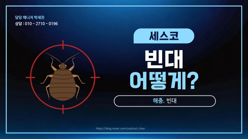 빈대(베드버그) 완전 정리 — 물린 자국·확인법·퇴치법까지 (사진으로 구분하세요)