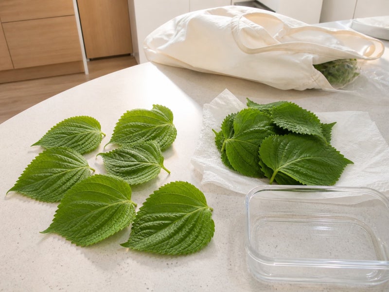 깻잎 한 봉지, 다 씻어 둘까? 생깻잎·장아찌·보관법 한 번에