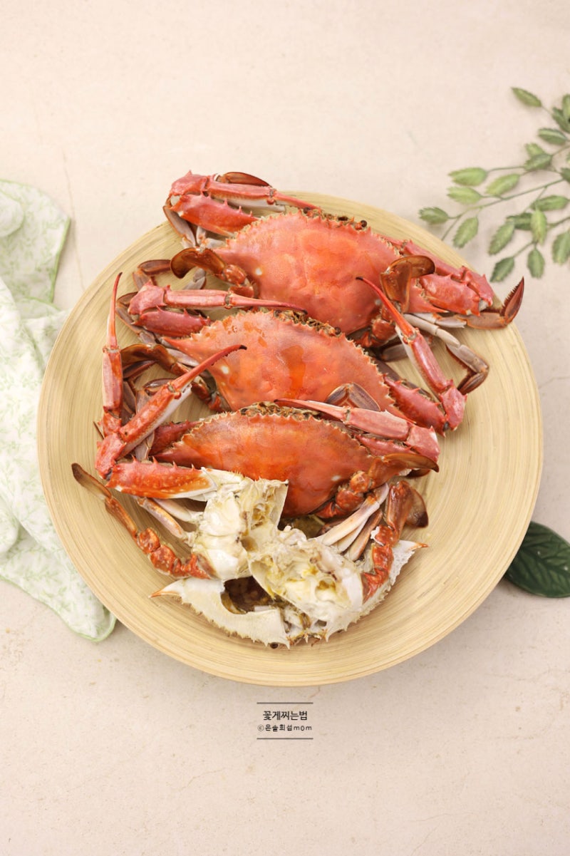 가을 꽃게찌는법 손질 시간 숫 꽃게찜 요리