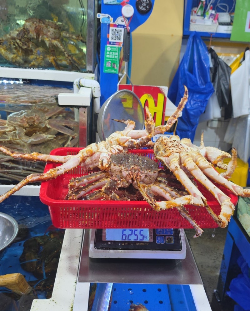 노량진수산시장 킹크랩 시세 kg당 가격부터 알차게 먹는 꿀팁