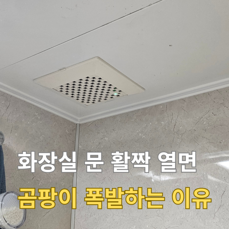 화장실 환풍기 24시간 틀어도 곰팡이 생기는 이유? (문 열어두기 vs 닫아두기 팩트체크)