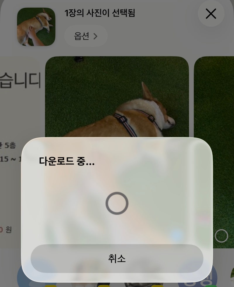 아이폰 사진 공유 안될 때, iCloud 다운로드 느림 해결방법 총정리