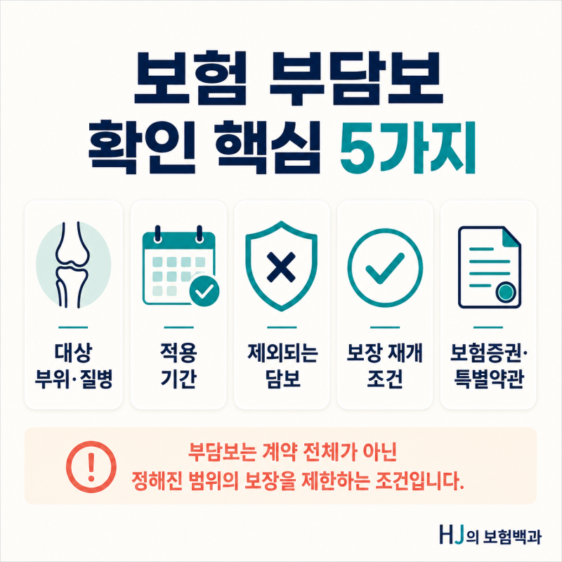 보험 부담보란? 특정 부위 보장제외 기간과 해제 조건 확인하기