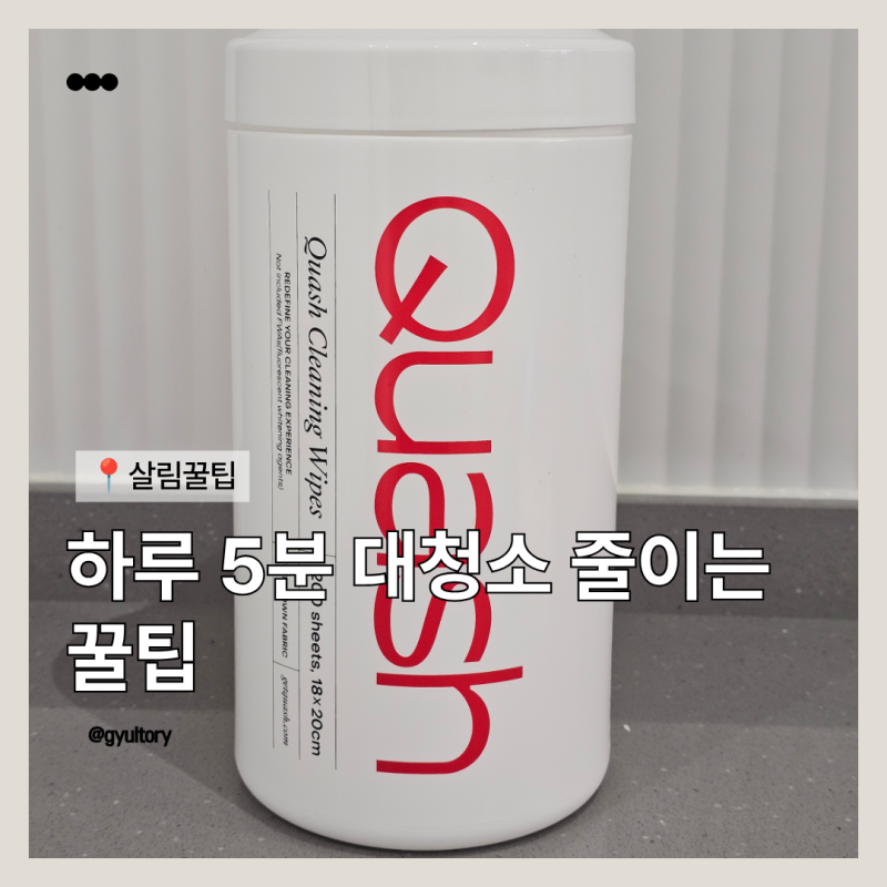 쿼시 세정 티슈로 하는 하루 5분 대청소 줄이는 청소 루틴