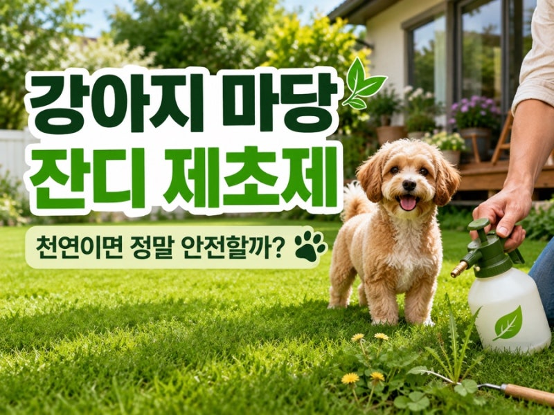 강아지 있는 집 마당 제초제, 아무거나 뿌리면 안 됩니다｜제품별 차이까지 정리