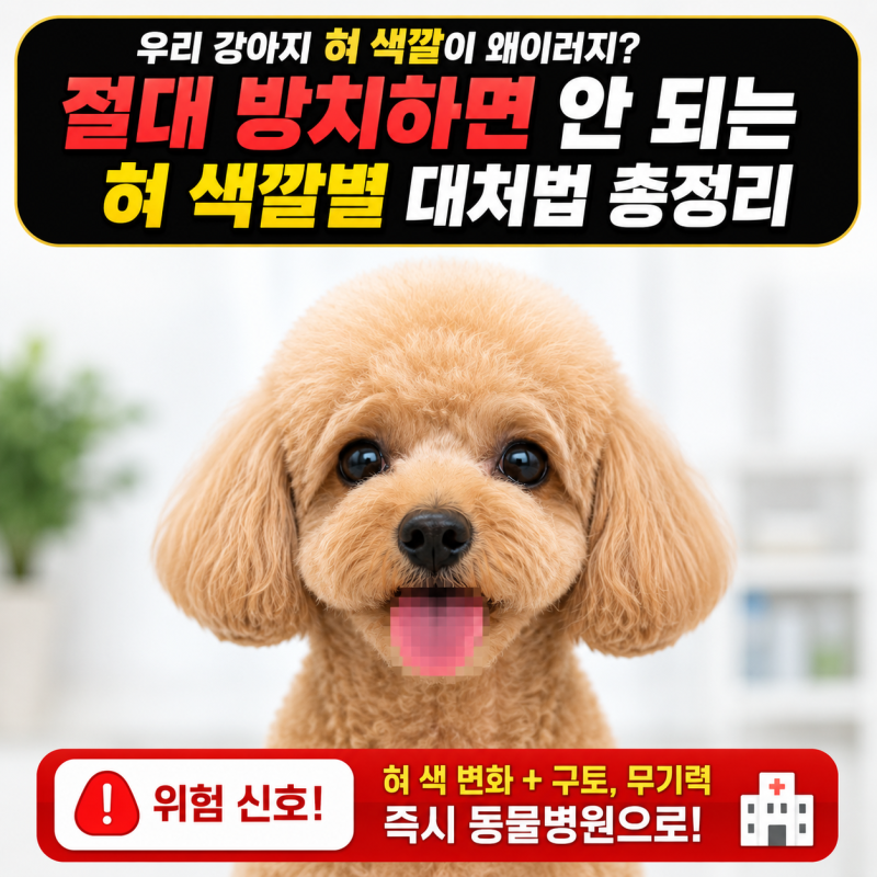 "우리 강아지 혀 색깔이 왜이러지?" 절대 방치하면 안 되는 혀 색깔별 대처법 총정리