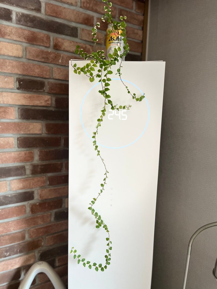 집안에서도 잘 자라는 반음지식물들 모음.