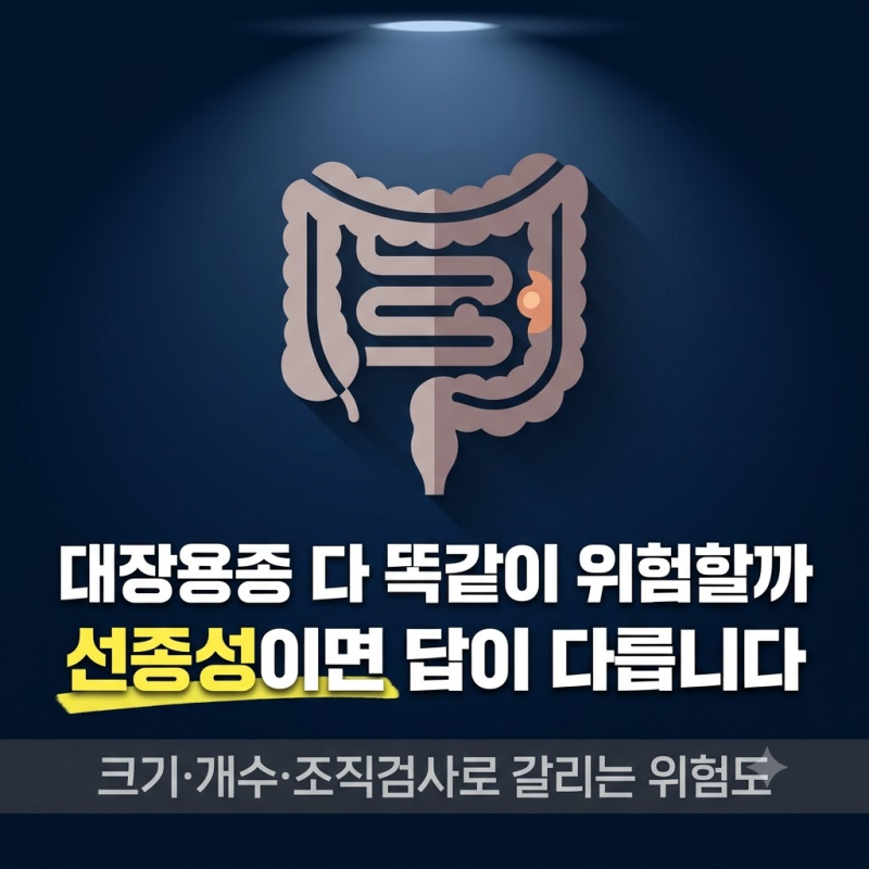 대장용종 위험성, 선종성용종이면 대장암 위험이 다릅니다