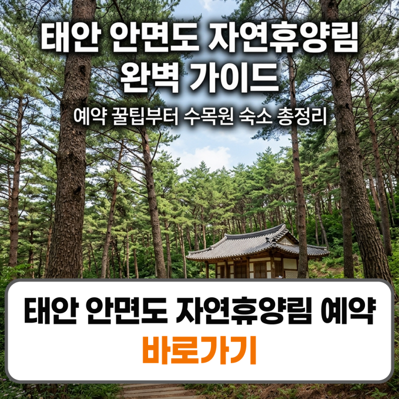 태안 안면도 자연휴양림 예약 수목원 휴양관 펜션 완벽 가이드