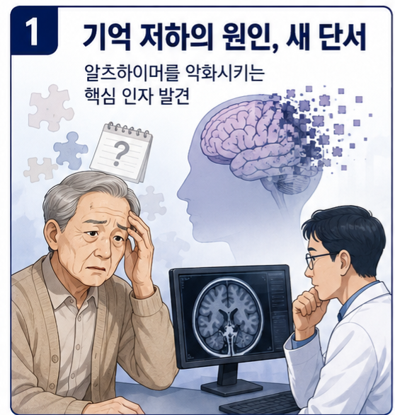 알츠하이머 기억 되살린 ‘핵심 스위치’ 발견…한국 환자도 치료받을 수 있나