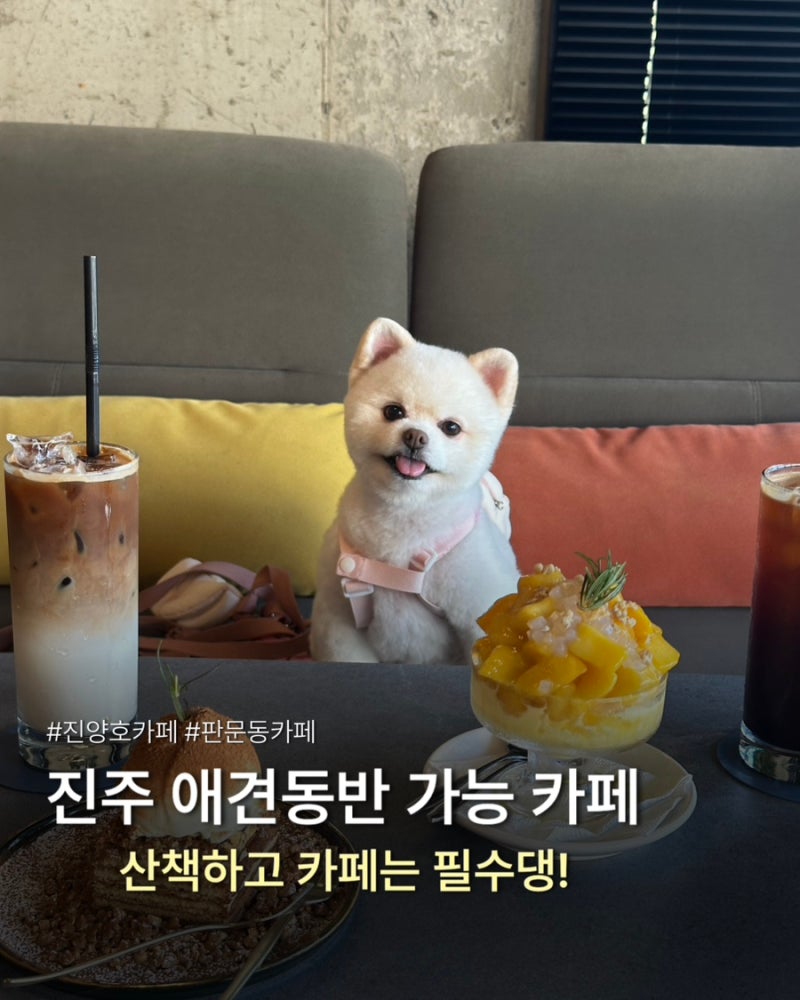진주애견동반카페, 판문동카페,진양호카페 수호 방문후기
