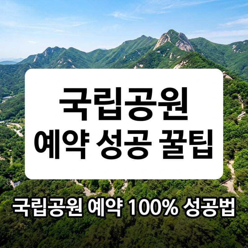 국립공원 예약시스템 시간 총정리: 야영장 대피소 예약 사이트 성공 꿀팁 7가지
