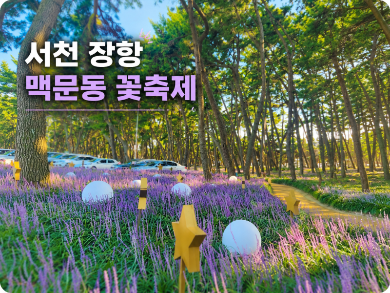 2026 서천 장항 맥문동 꽃축제 일정·주차·입장료 총정리｜8월 28일 개막