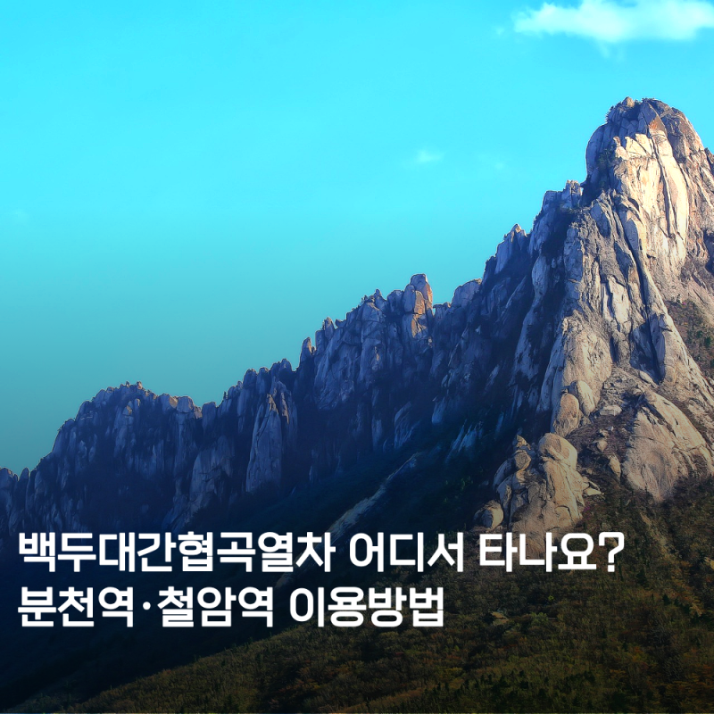 백두대간협곡열차 예약 V트레인 시간표 여행 코스