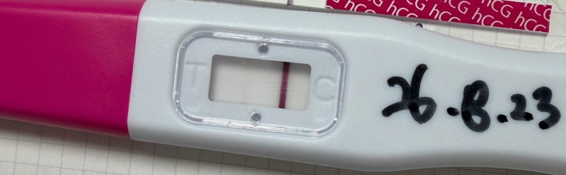[임신준비] 슈얼리, 원포 얼리임테기 사용기 (배란 6일차-13일차)