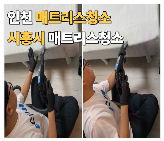 인천 매트리스청소 직접 받아본 솔직 후 기 스팀청소 얼룩제거까지