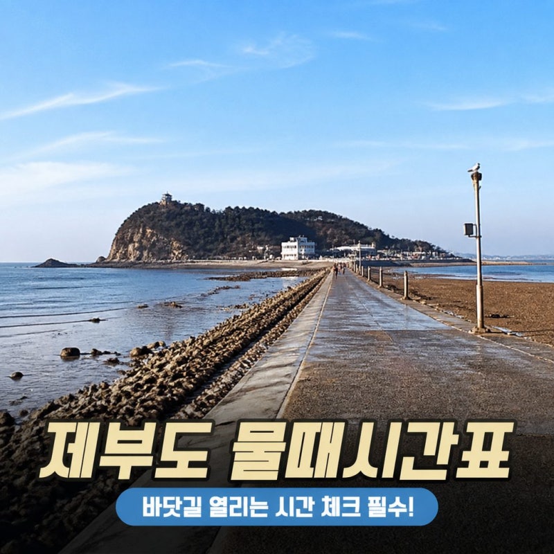[화성 가볼만한곳] 제부도 물때시간표 모르면 낭패? 헛걸음 안 하는 통행시간 & 드라이브 꿀....